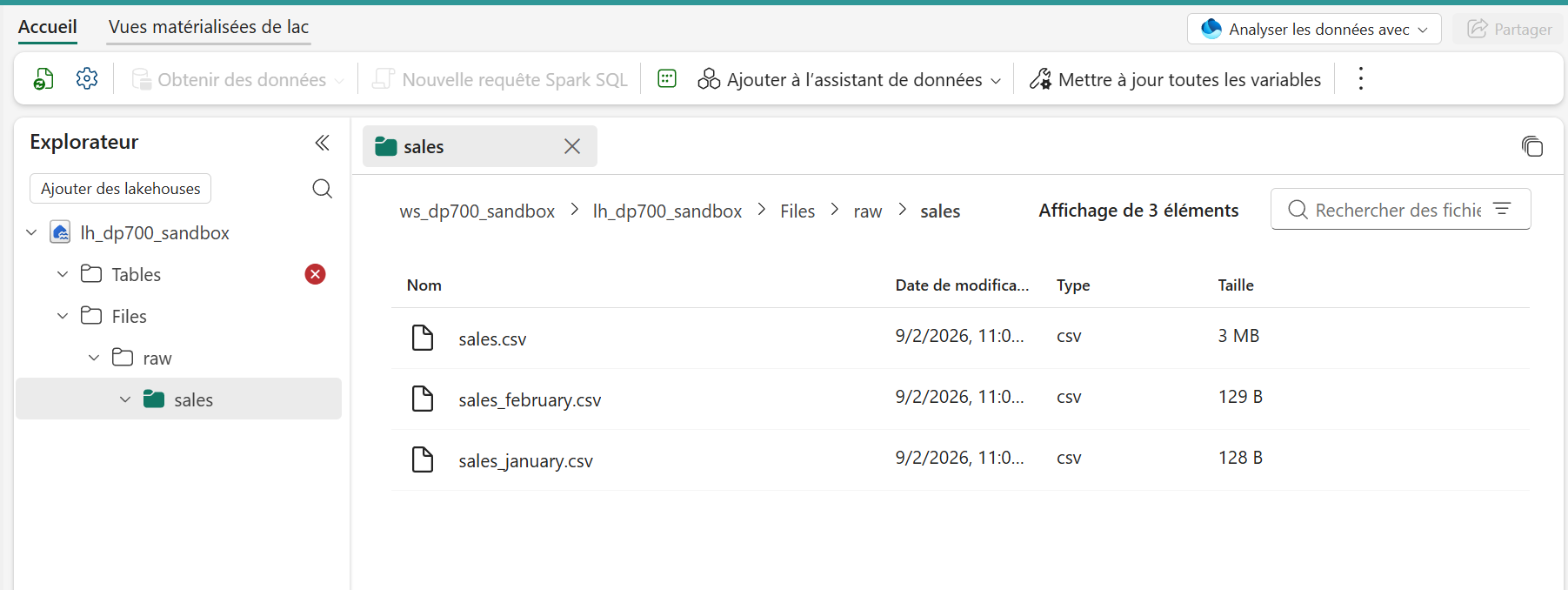 L’explorateur d’Alpha : Files/raw/sales visible, Tables bloqué