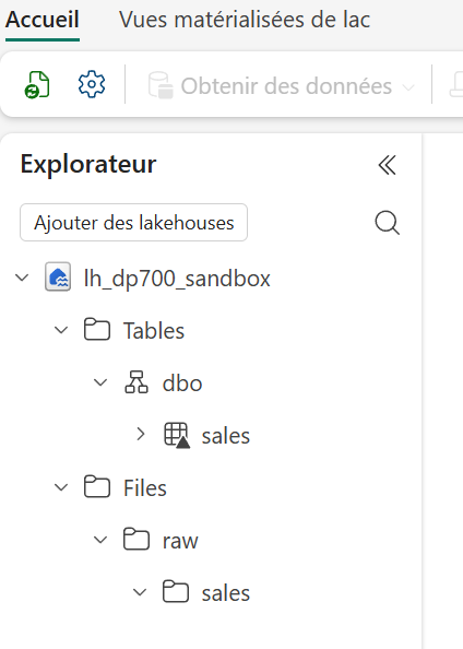 L’explorateur d’Alpha dans deux rôles : la table sales et les fichiers raw/sales sont visibles