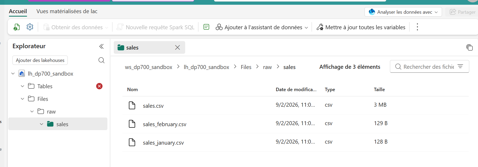 Alpha de retour en Viewer : Tables est bloqué, seul Files/raw/sales est visible