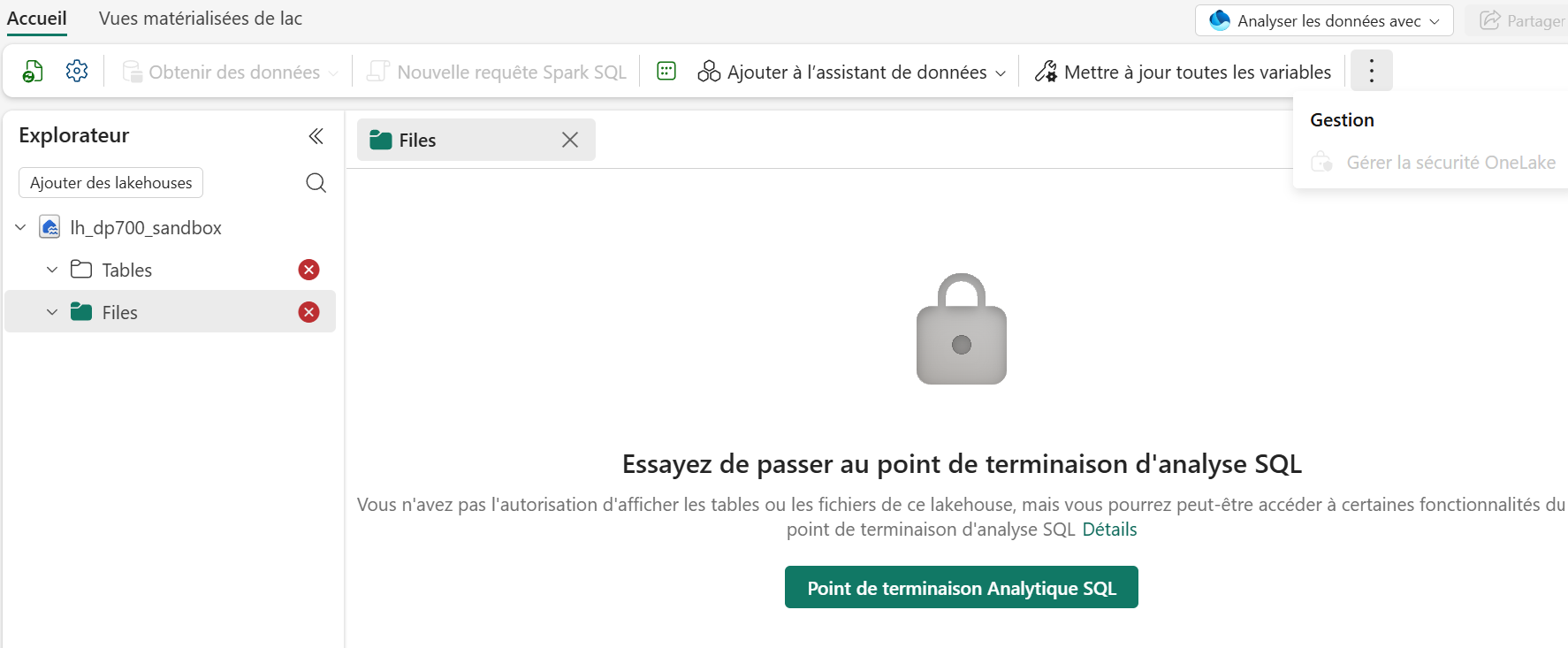 Alpha dans l’explorateur du lakehouse : Tables et Files bloqués