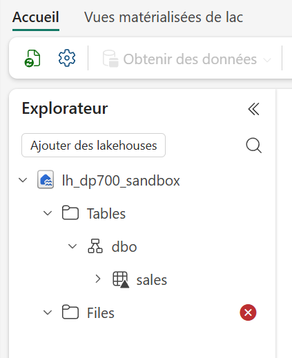 L’explorateur d’Alpha : la table sales est visible, Files reste bloqué